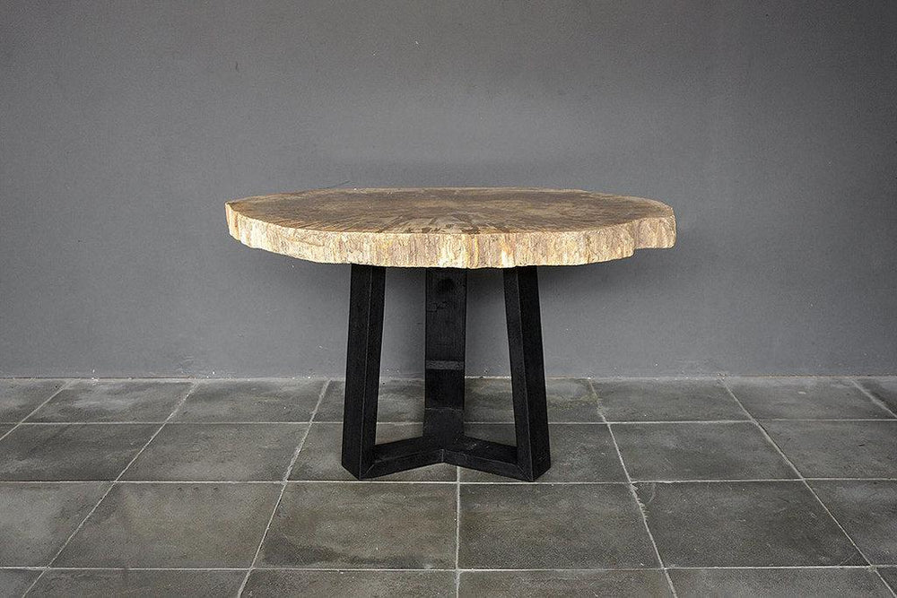Petrified Wood Coffee Table-Blue Hand Home