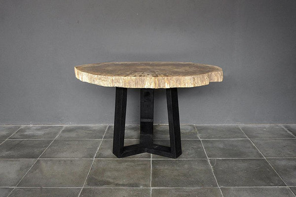 Petrified Wood Coffee Table-Blue Hand Home