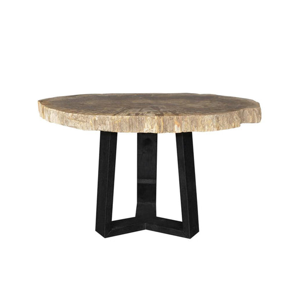 Petrified Wood Coffee Table-Blue Hand Home