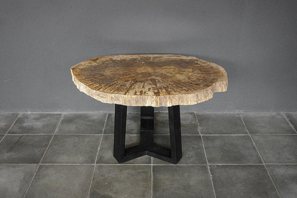 Petrified Wood Coffee Table-Blue Hand Home