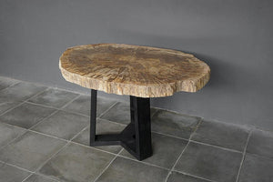 Petrified Wood Coffee Table-Blue Hand Home