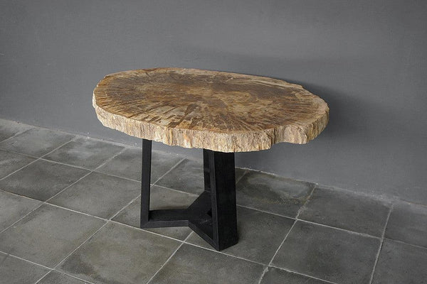 Petrified Wood Coffee Table-Blue Hand Home