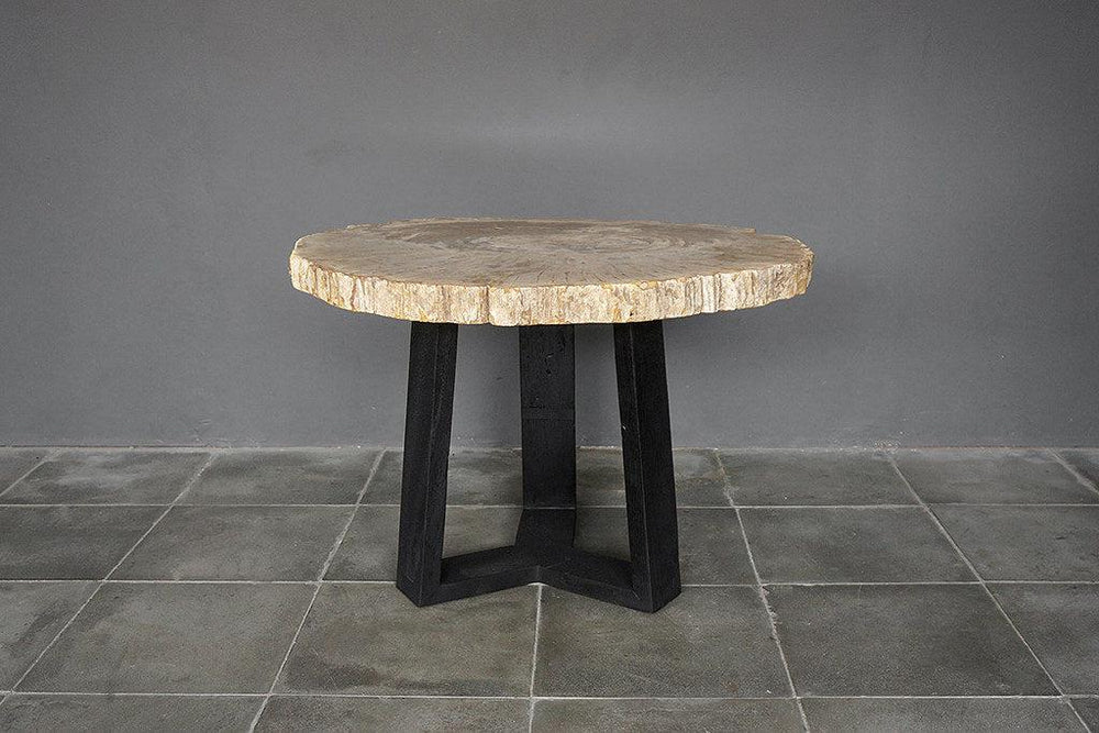Petrified Wood Coffee Table-Blue Hand Home