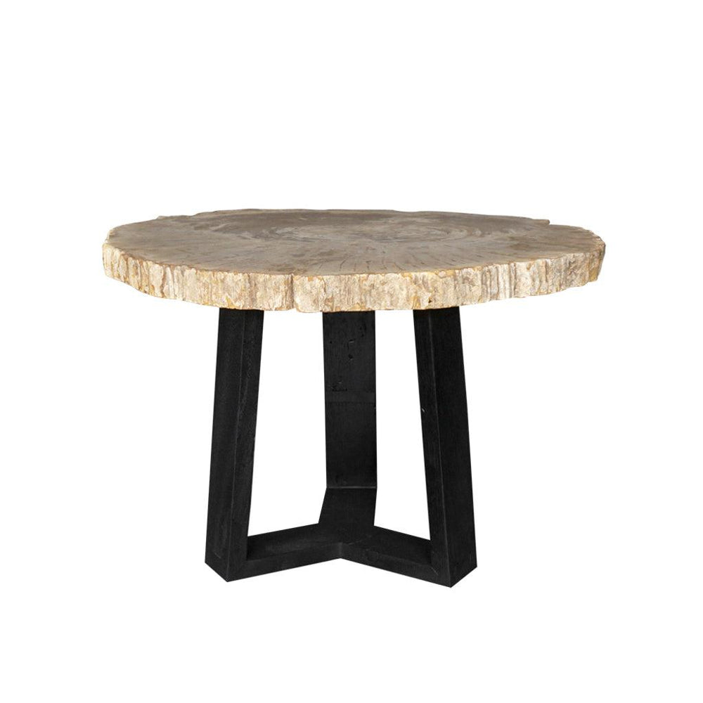 Petrified Wood Coffee Table-Blue Hand Home
