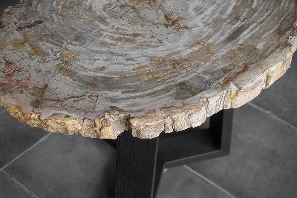 Petrified Wood Coffee Table-Blue Hand Home