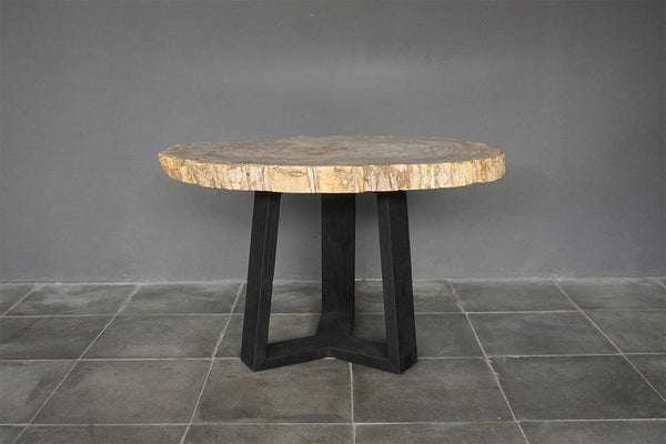 Petrified Wood Coffee Table-Blue Hand Home