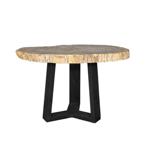 Petrified Wood Coffee Table-Blue Hand Home