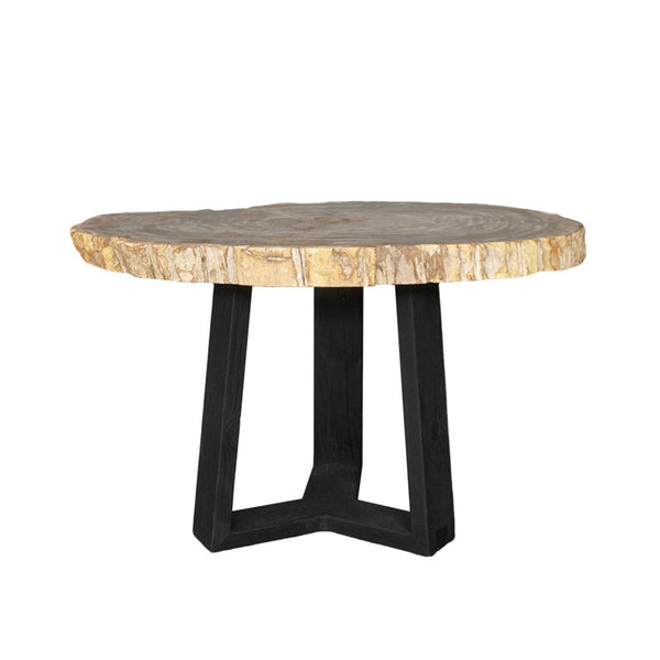Petrified Wood Coffee Table-Blue Hand Home