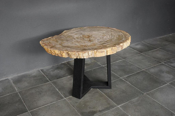 Petrified Wood Coffee Table-Blue Hand Home