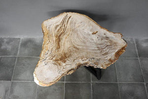 Petrified Wood Coffee Table-Blue Hand Home