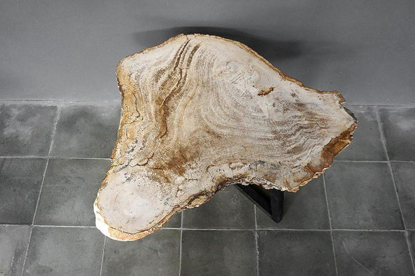 Petrified Wood Coffee Table-Blue Hand Home