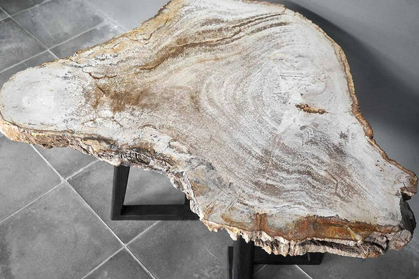 Petrified Wood Coffee Table-Blue Hand Home