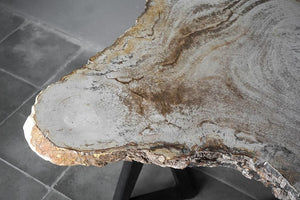 Petrified Wood Coffee Table-Blue Hand Home