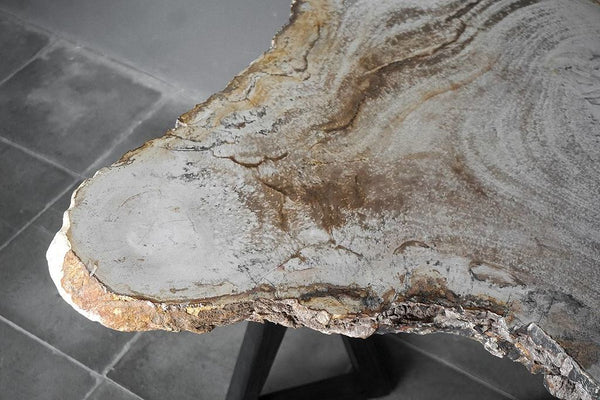 Petrified Wood Coffee Table-Blue Hand Home