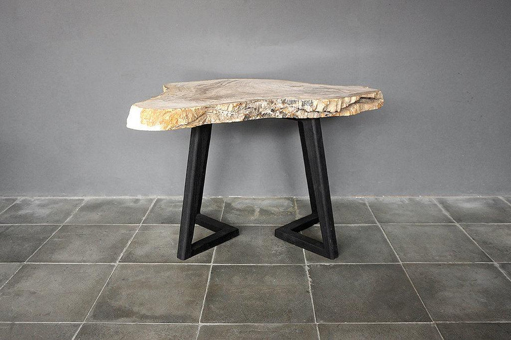 Petrified Wood Coffee Table-Blue Hand Home