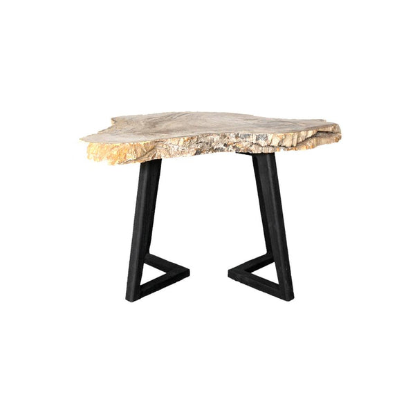 Petrified Wood Coffee Table-Blue Hand Home