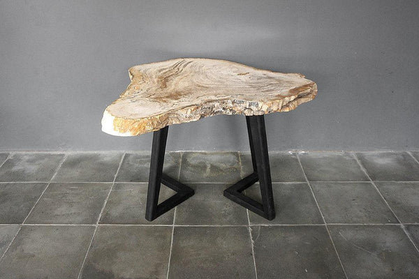 Petrified Wood Coffee Table-Blue Hand Home