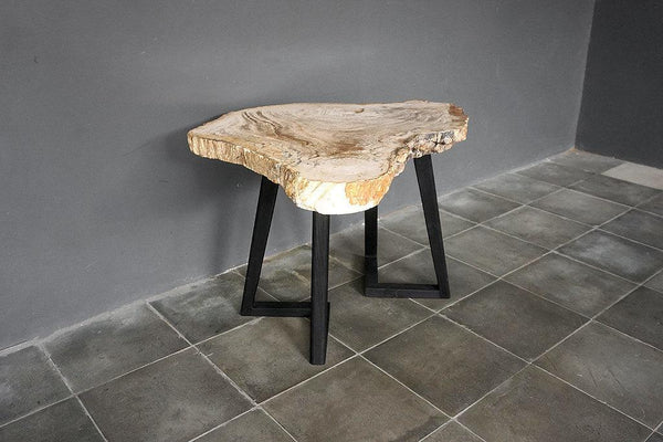 Petrified Wood Coffee Table-Blue Hand Home