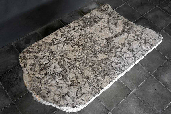 Onyx Coffee Table with Teak Root Base-Blue Hand Home