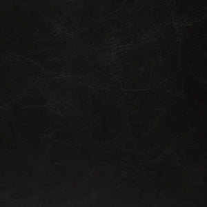 Newton Dining Chair, Ebony Black Leather - Noir Trading Inc.-Noir Furniture-Blue Hand Home