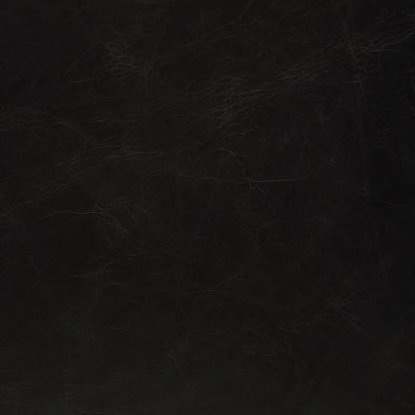 Newton Dining Chair, Ebony Black Leather - Noir Trading Inc.-Noir Furniture-Blue Hand Home