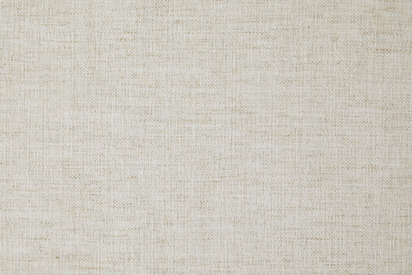 https://cdn.shopify.com/s/files/1/0044/2666/1934/products/Lester_Snow.jpg?v=1599690128