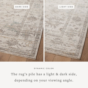 Magnolia Home by Joanna Gaines x Loloi Millie Rug - Silver / Dove-Blue Hand Home