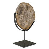 Wood Fossil with Stand, 12"-Noir Furniture-Blue Hand Home