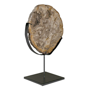Wood Fossil with Stand, 12