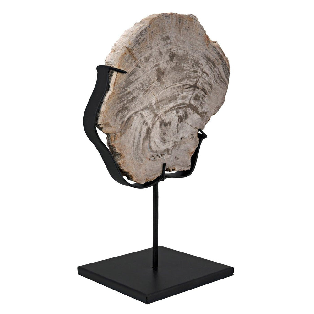 Wood Fossil with Stand, 8"-Noir Furniture-Blue Hand Home