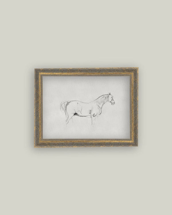 Horse Sketch Framed Antique Art-Blue Hand Home