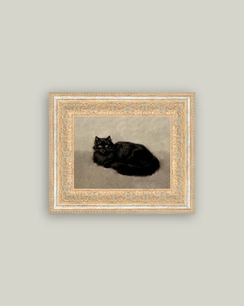 Black Cat Framed Antique Art-Blue Hand Home