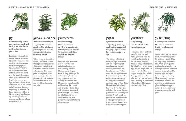 Green Witch's Garden by Arin Murphy-Hiscock-Blue Hand Home