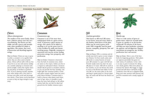 Green Witch's Garden by Arin Murphy-Hiscock-Blue Hand Home