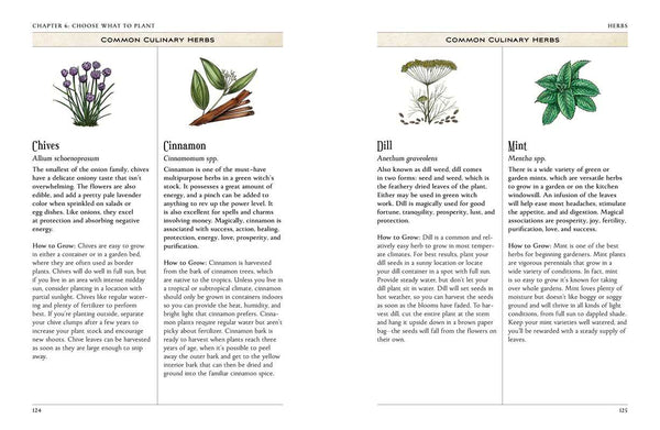 Green Witch's Garden by Arin Murphy-Hiscock-Blue Hand Home