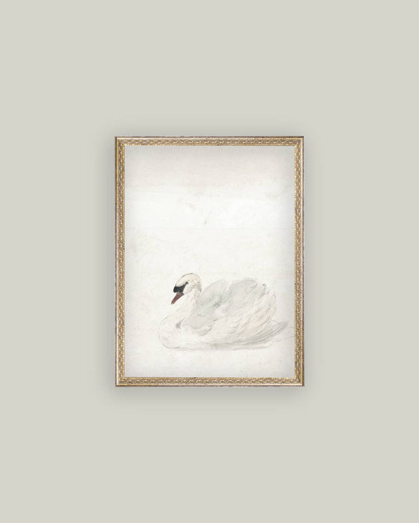 Swan Framed Antique Art-Blue Hand Home