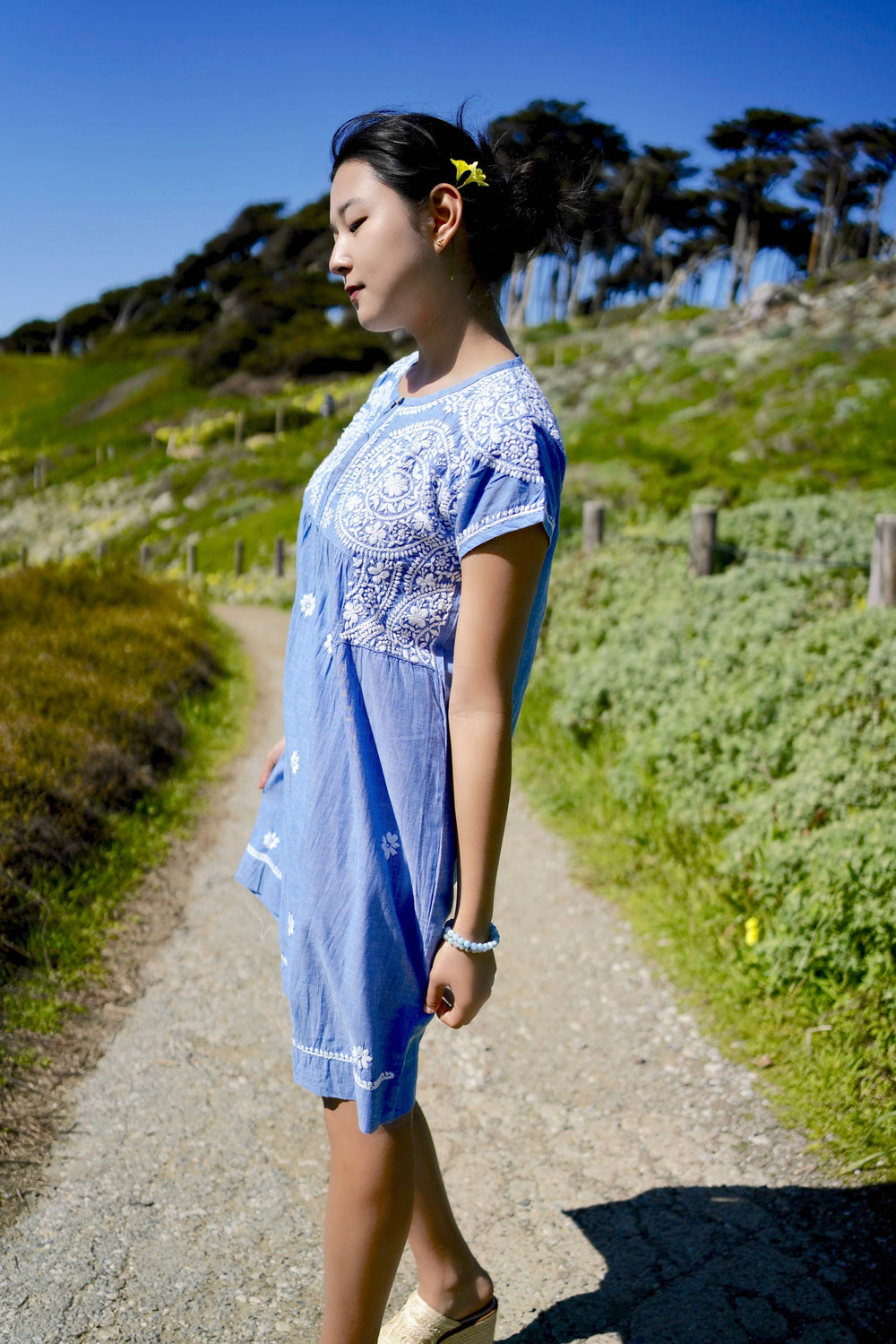 Ava Emb. Tunic Dress Chambray Denim Blue-Blue Hand Home