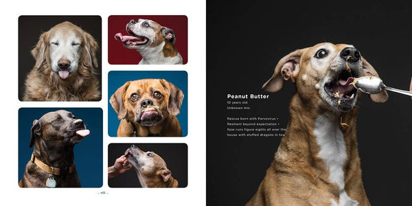 Peanut Butter Dogs-Blue Hand Home