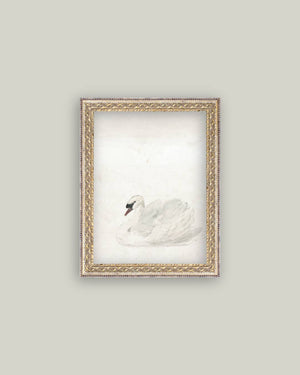 Swan Framed Antique Art-Blue Hand Home