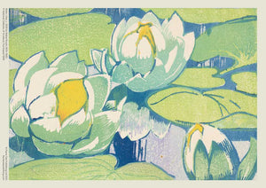 Adult Jigsaw Puzzle NGS: Mabel Royds - Water Lilies by-Blue Hand Home