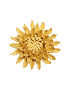 November Birth Flower - Chrysanthemum-Blue Hand Home