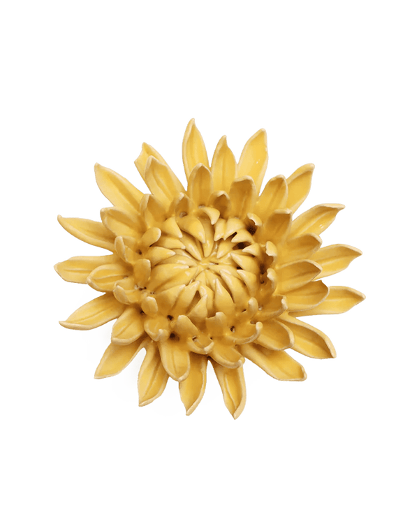 November Birth Flower - Chrysanthemum-Blue Hand Home