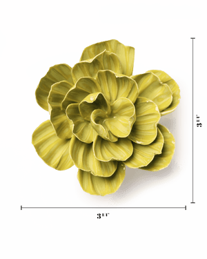 February Birth Flower - Primrose-Blue Hand Home