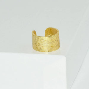 Elegant Brushed Finish Ring for Modern Style: Gold-Blue Hand Home