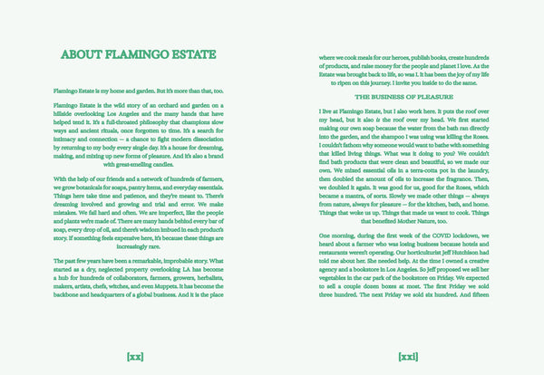 Flamingo Estate: The Guide to Becoming Alive-Blue Hand Home