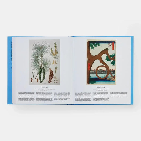 Tree: Exploring The Arboreal World-Blue Hand Home