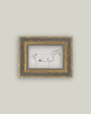 Horse Sketch Framed Antique Art-Blue Hand Home