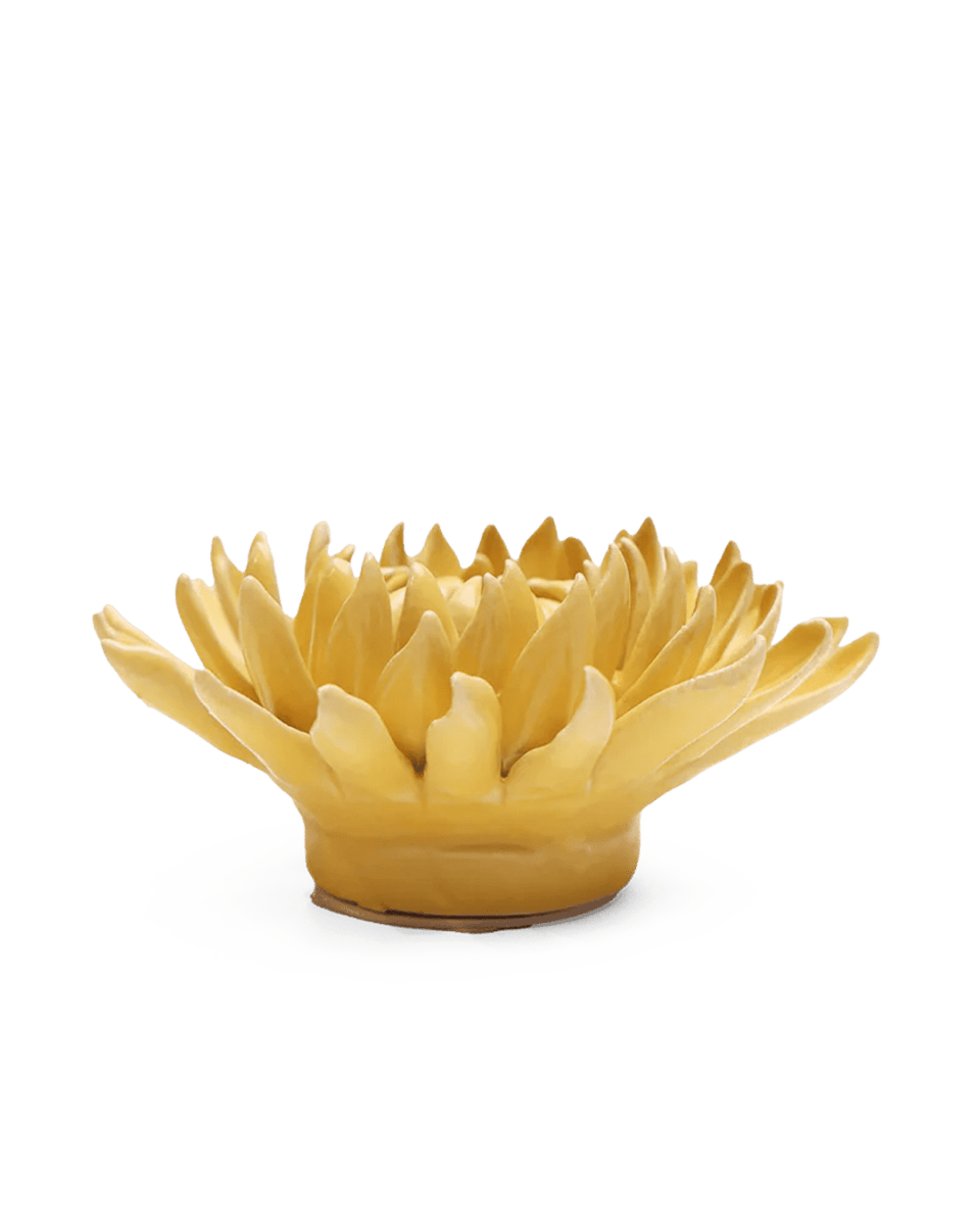 November Birth Flower - Chrysanthemum-Blue Hand Home