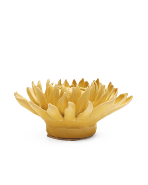 November Birth Flower - Chrysanthemum-Blue Hand Home