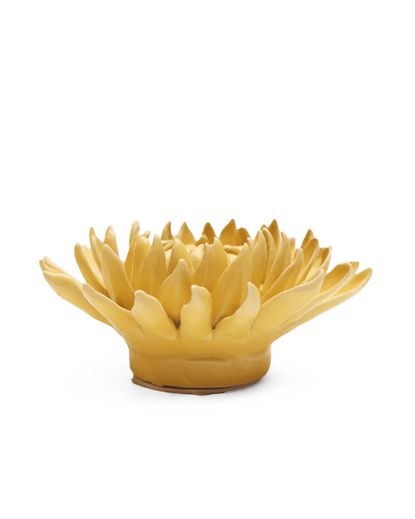 November Birth Flower - Chrysanthemum-Blue Hand Home